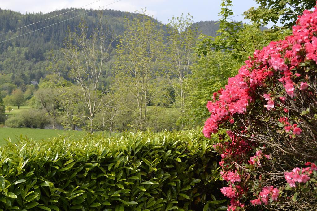 The Park Hill Hotel Betws-y-Coed Bagian luar foto